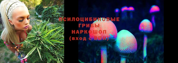 мдма Михайловск