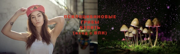 скорость Алзамай