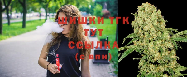 экстази Арсеньев