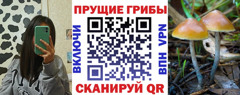 Псилоцибиновые грибы ЛСД  закладки  Абаза 